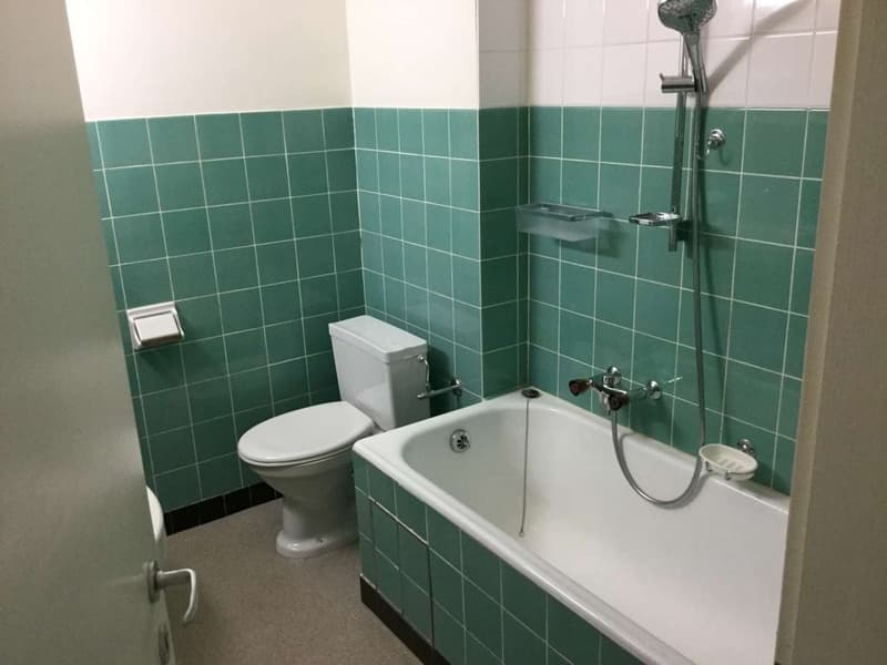 Gemütliche und grosszügige Wohnung sucht neuen Mieter! (4)