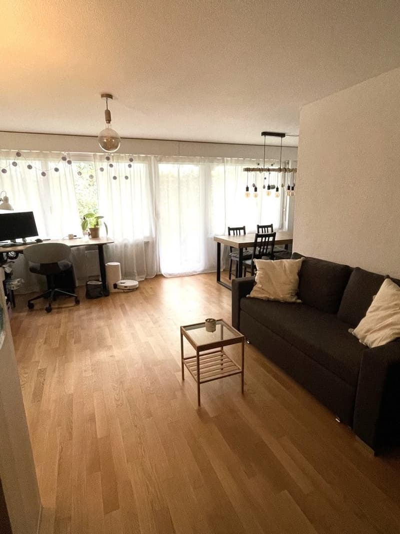 Wohnzimmer1.jpeg