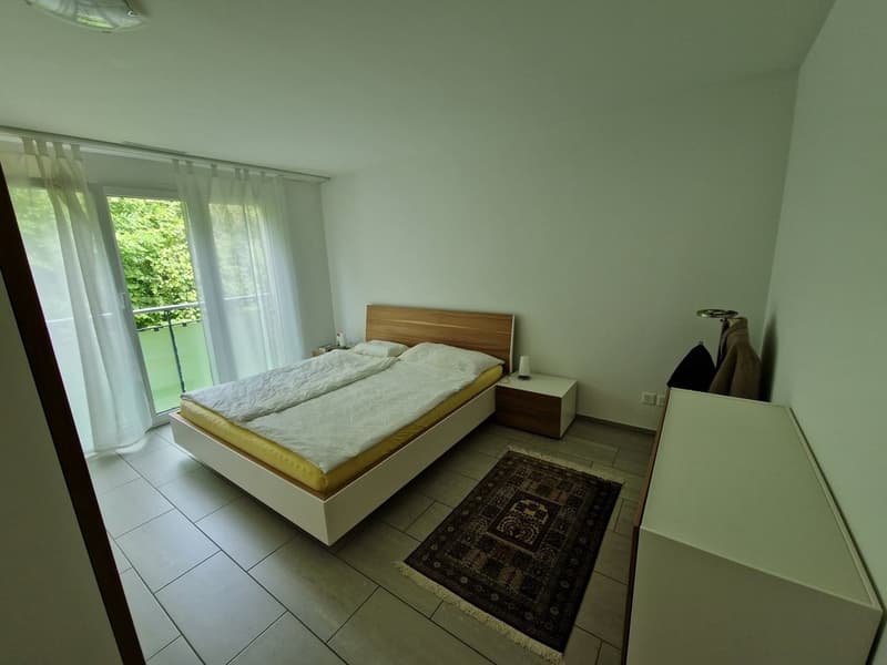 Grosszügige 4.5-Zimmer Wohnung ab 1.04.26 zu vermieten (5)
