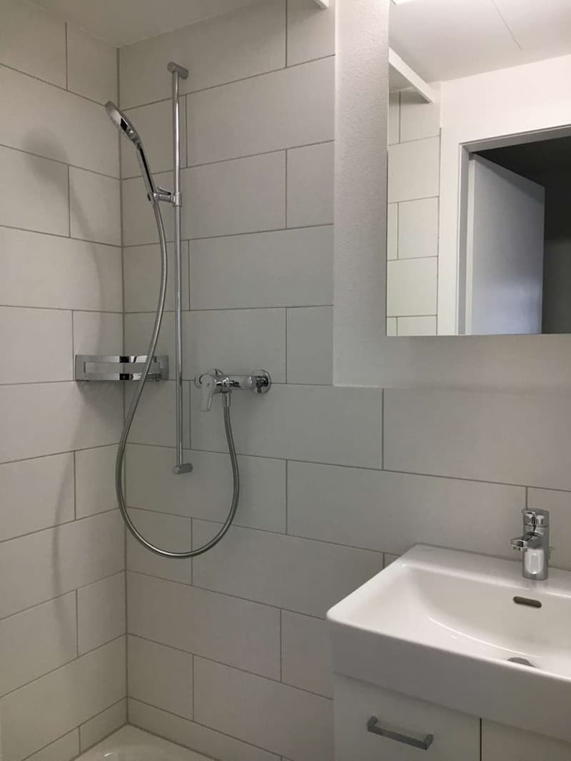 Moderne Singlewohnung an zentraler Lage (4)