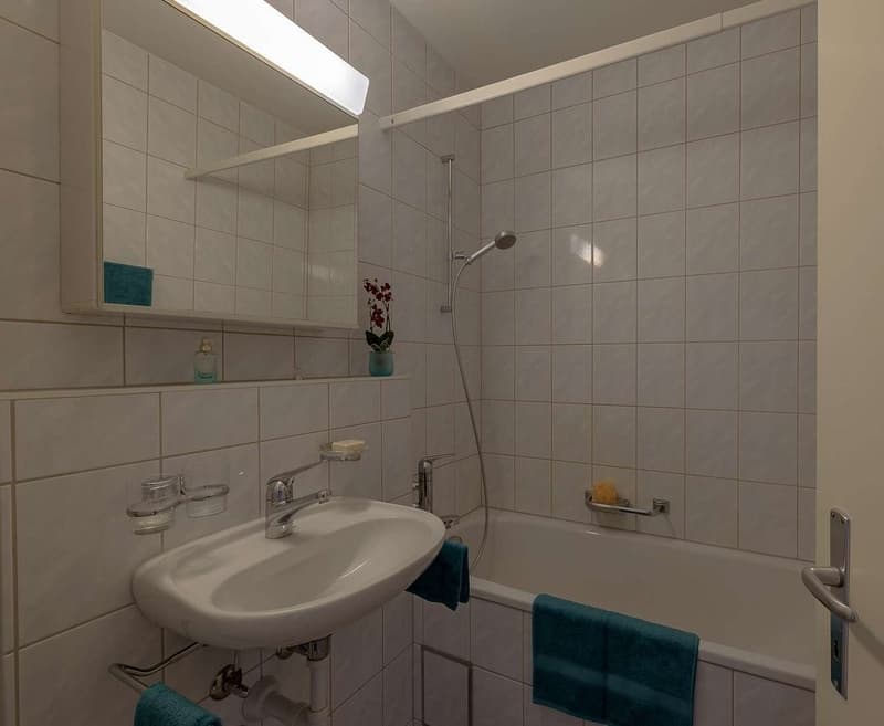 Schöne 3.5-Zimmerwohnung in Allschwil (5)
