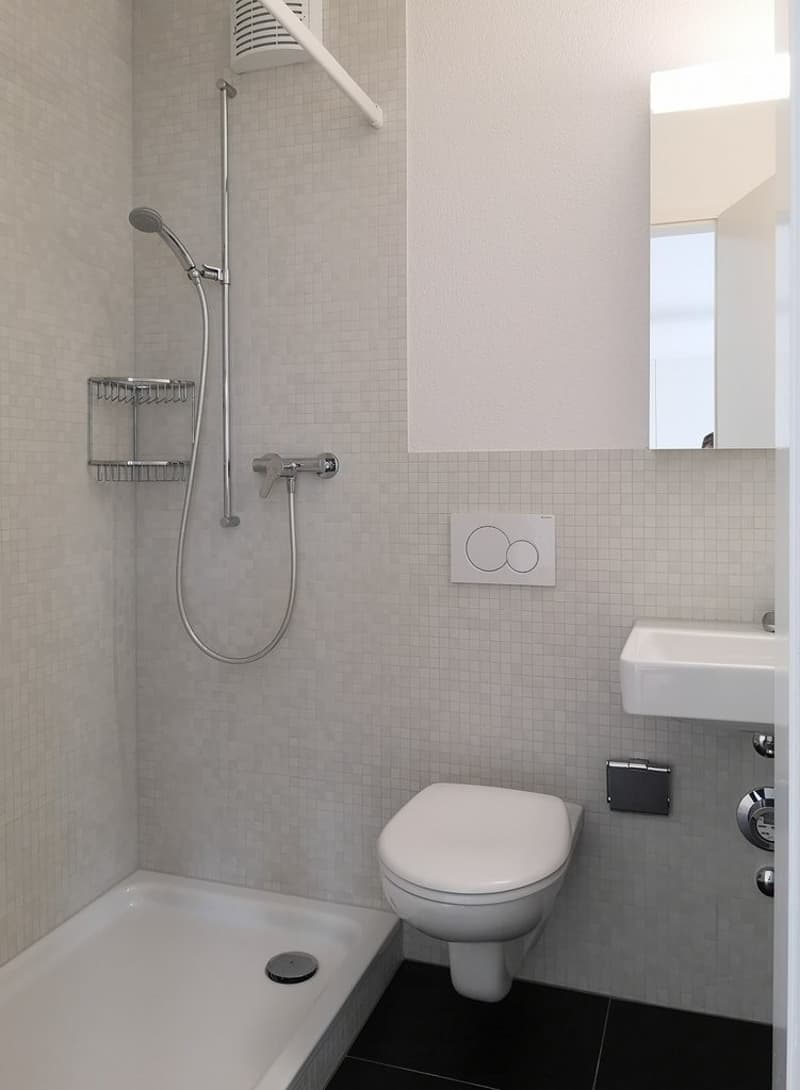 Ideale Singlewohnung in der Stadt! (5)