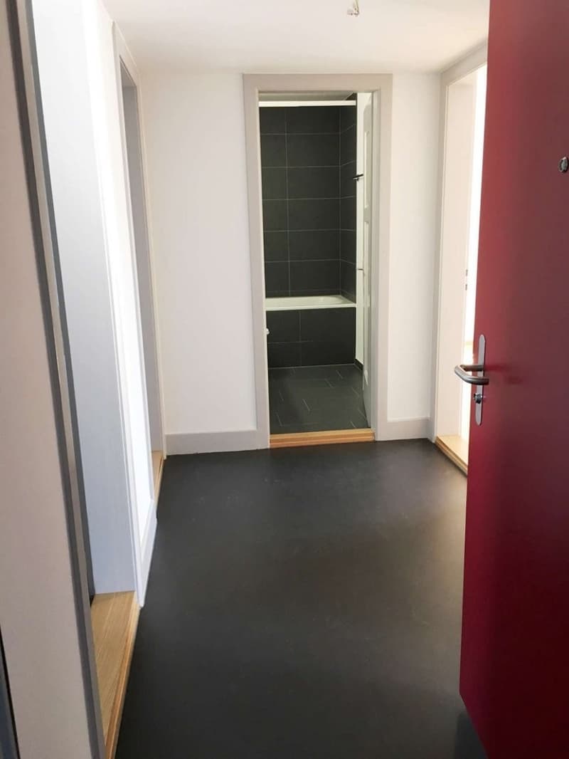 Moderne Dachwohnung in Stadtnähe (4)