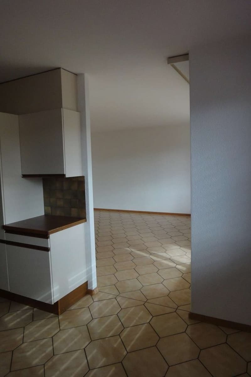 PREMIER LOYER NET GRATUIT ! Spacieux appartement à Marin (6)