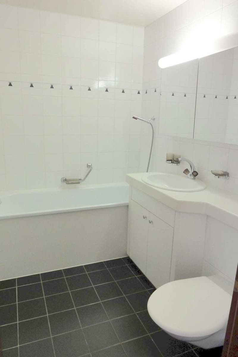 PREMIER LOYER NET GRATUIT ! Spacieux appartement à Marin (2)