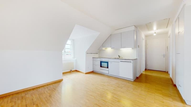 Helle, moderne 2.5-Zimmer-Dachwohnung (6)
