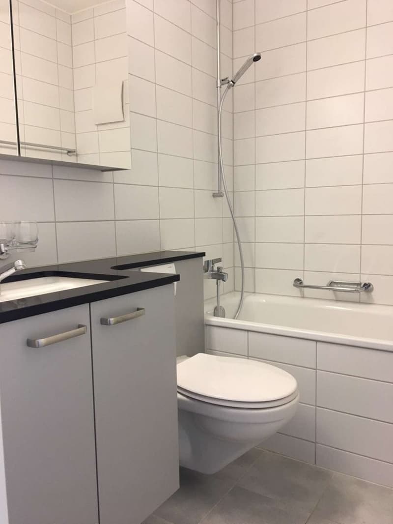 Ihr neues Zuhause in Biberist - grosszügig, hell und zum Wohlfühlen (7)