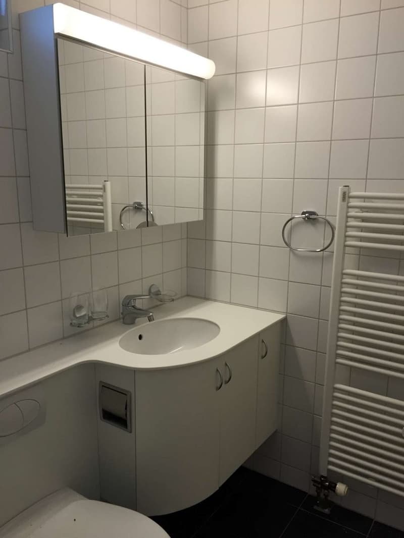 Charmante 2.5 Zimmer-Wohnung im Erdgeschoss mit Terrasse (3)