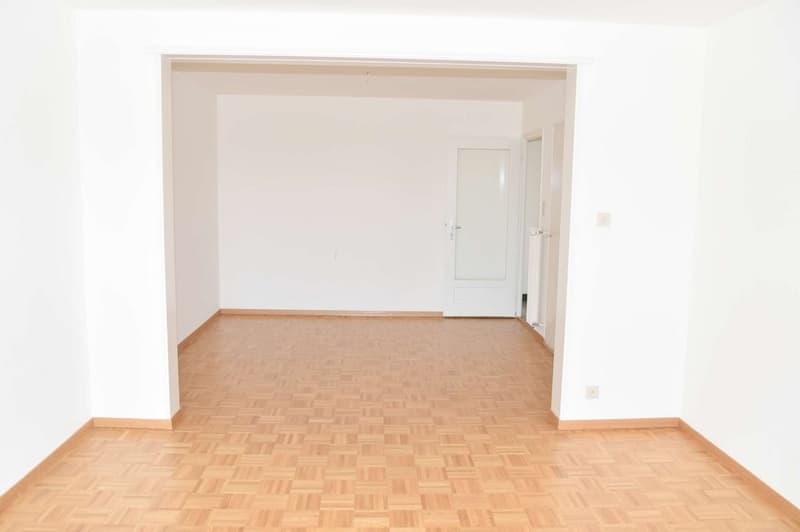 Vaste séjour/salle à manger