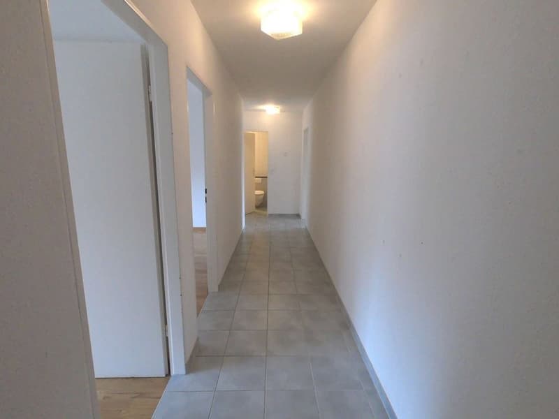 Ihr neues Zuhause in Biberist - grosszügig, hell und zum Wohlfühlen (6)