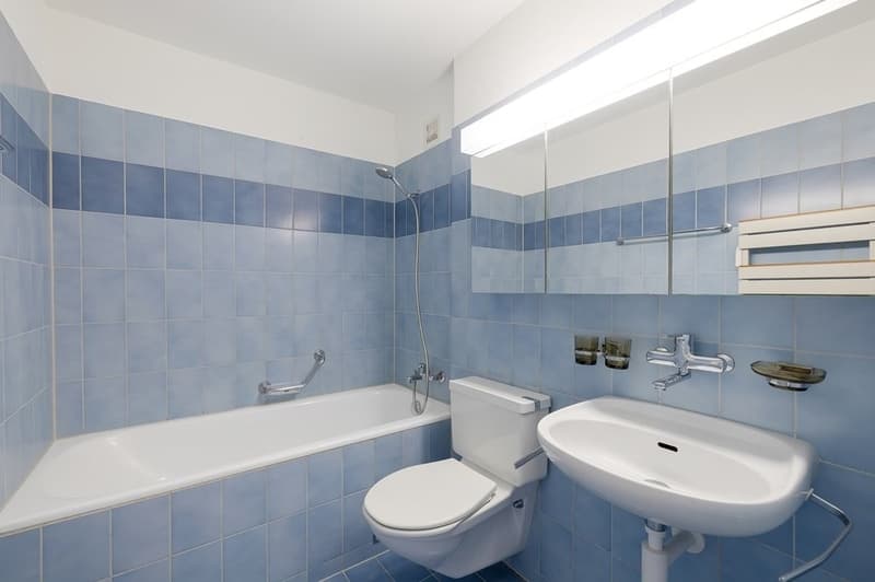 Helle Wohnung im städtischen Liestal mit ländlicher Aussicht (9)
