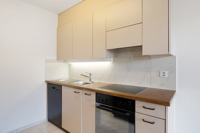 Helle Wohnung im städtischen Liestal mit ländlicher Aussicht (3)