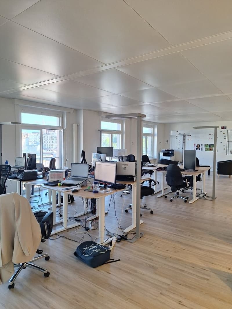Adresse de prestige dans un bâtiment emblématique (4)