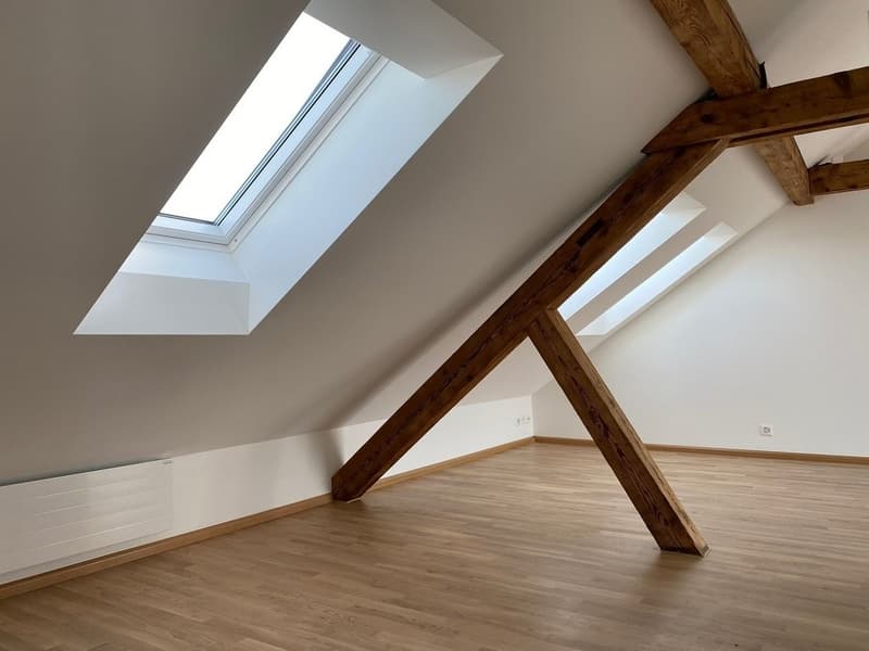 gemütliche Dachwohnung mit grosser Terrasse (5)