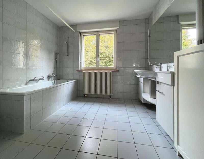 Geräumige Wohnung an zentraler Lage! (4)
