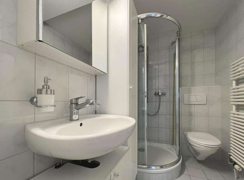 Geräumige Wohnung an zentraler Lage! (5)