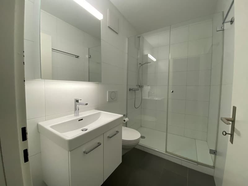 Geräumige Wohnung in Kehrsatz (9)