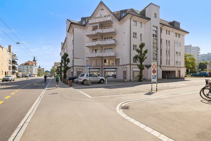 Aussenansicht / Garageneinfahrt