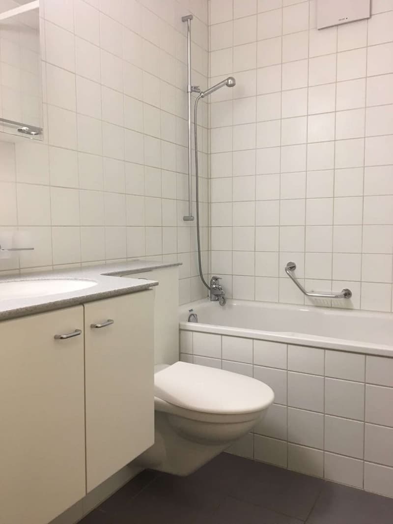 Attraktive Wohnung in Stadtnähe (5)