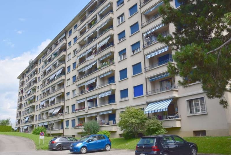 Place de parc extérieure proche de la gare de Renens (1)