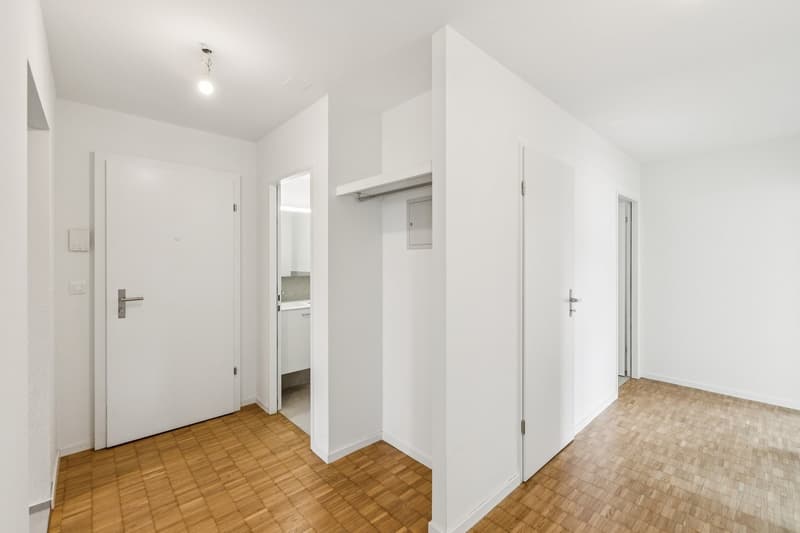 Frisch sanierte 4.5-Zimmerwohnung an bester Lage in Pratteln (4)