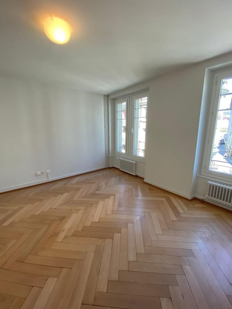 Magnifique 1,5 pièces au centre-ville (2)
