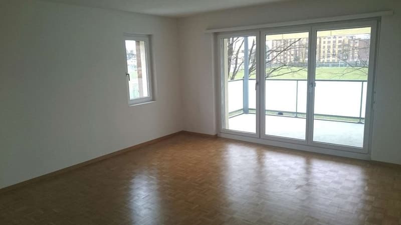 Charmante Wohnung in einem ruhigen Quartier (3)