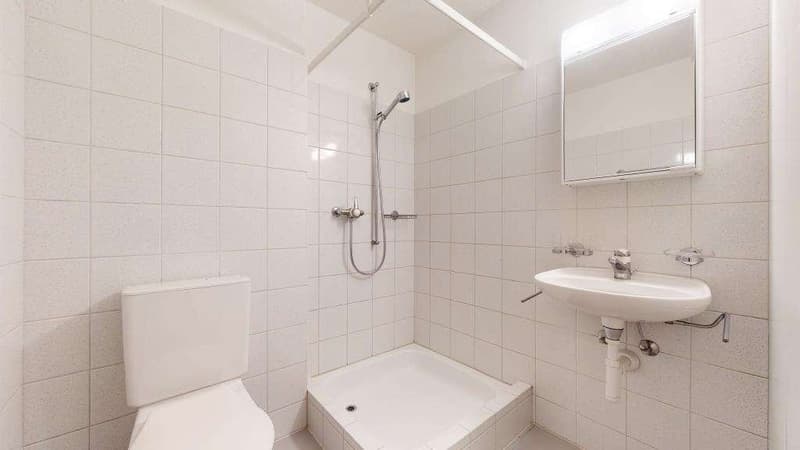Familienfreundliche Wohnung in ruhigem Quartier (5)