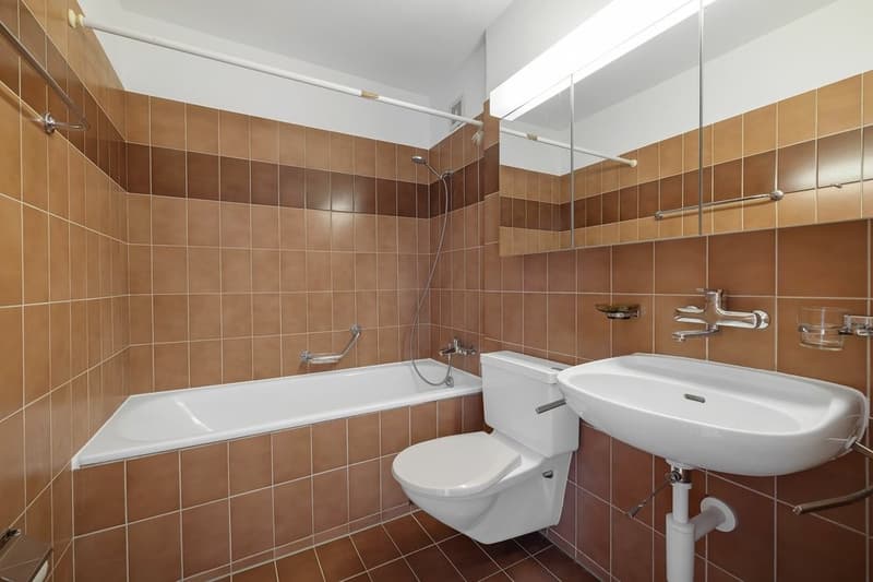 Grosszügige familienfreundlich Wohnung (7)