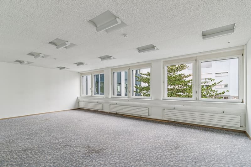 50m² Büro, 5405 Baden-Dättwil (3)