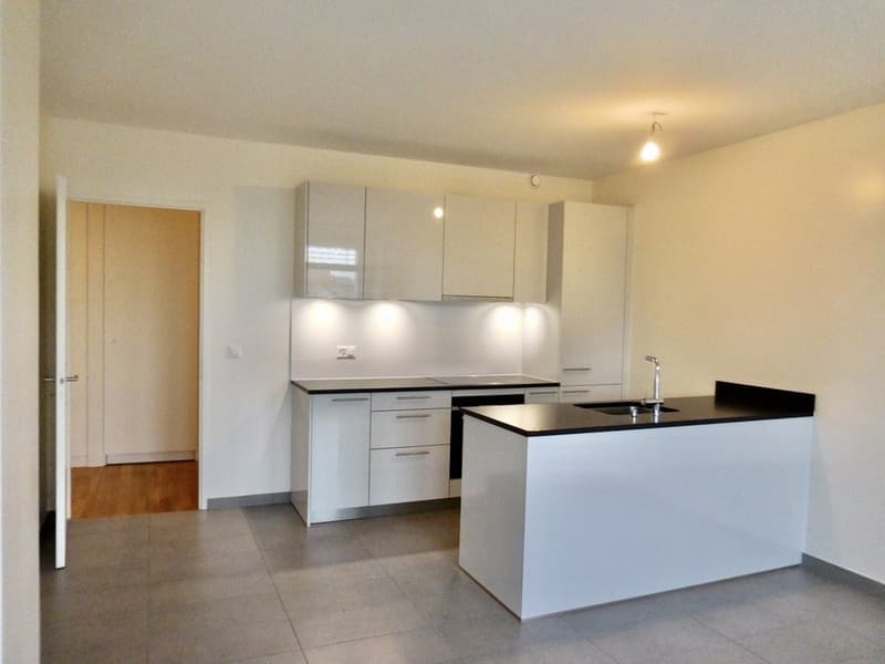 Superbe logement proche du quartier des banques (2)