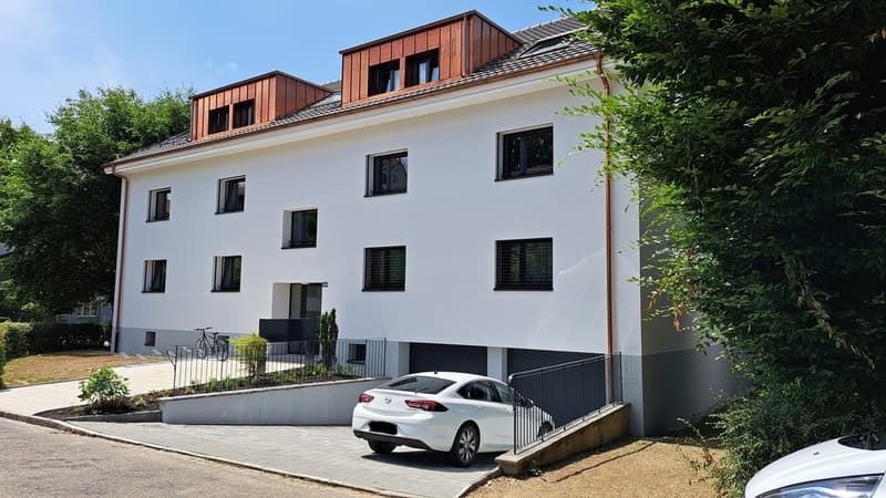 4581a.jpg