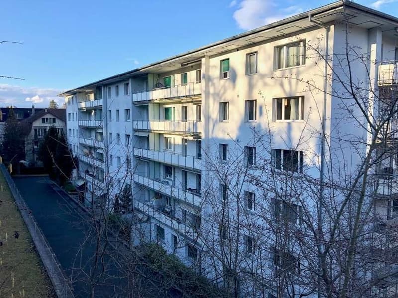 Die perfekt erste eigene Wohnung (2)