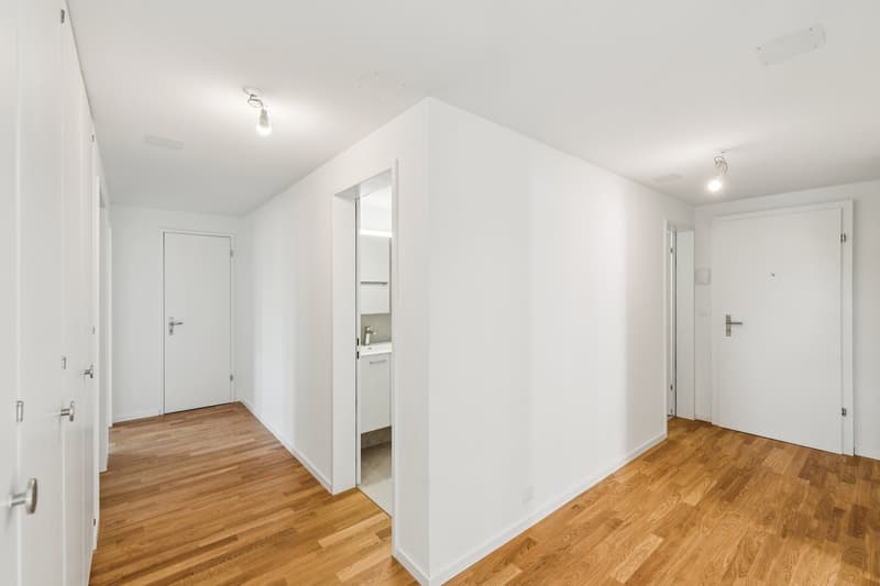 Frisch sanierte 4.5-Zimmerwohnung an bester Lage in Pratteln (4)