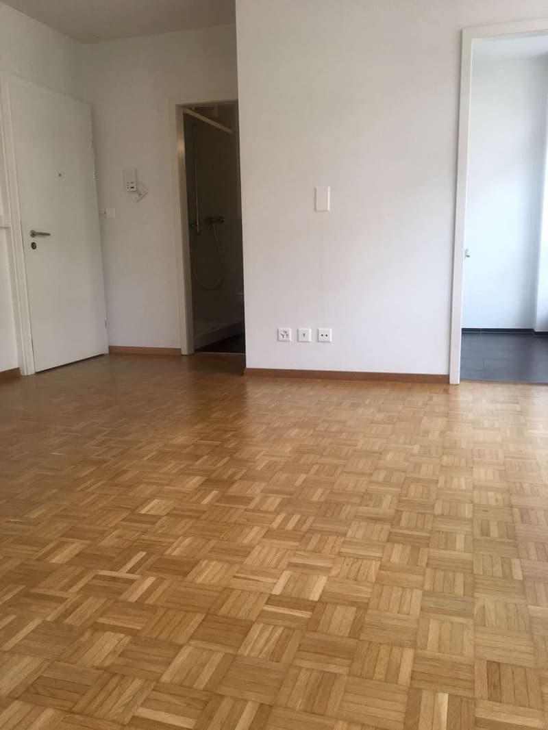 Moderne Wohnung im Herzen von Bern! (4)