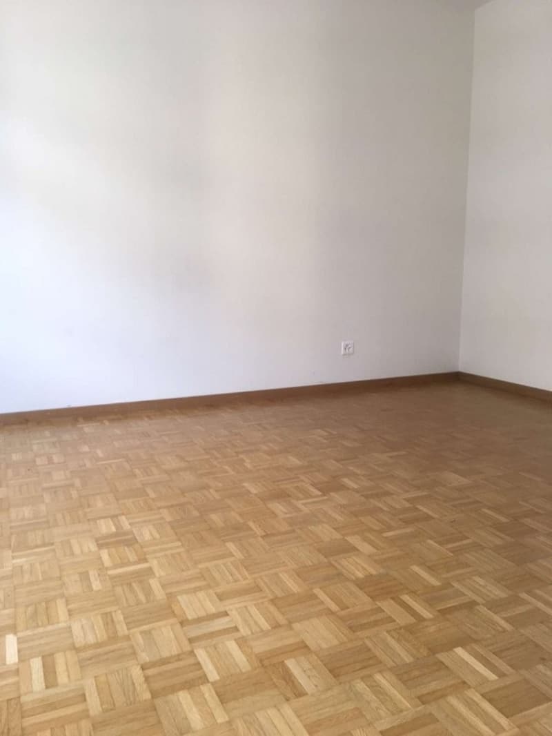 Moderne Wohnung im Herzen von Bern! (5)