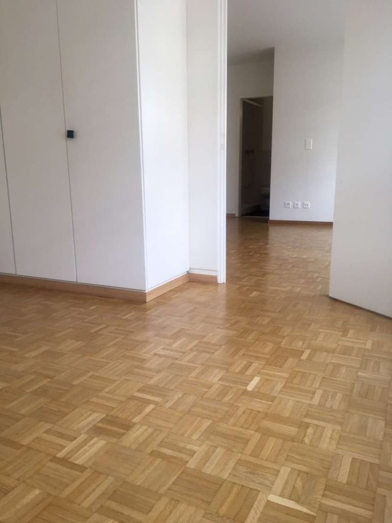 Moderne Wohnung im Herzen von Bern! (6)