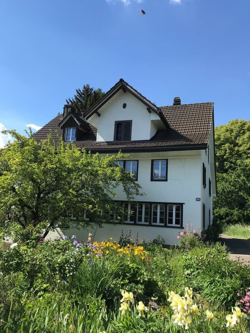 4140_LD_Foto_Liegenschaft_Aussenansicht_3.jpg