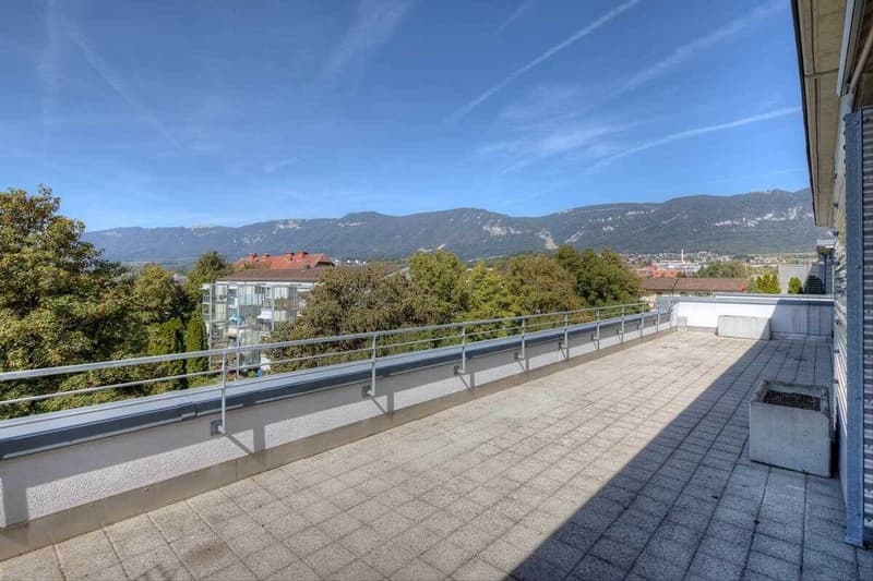 Traumhafte Attikawohnung mit grosser Terrasse (9)