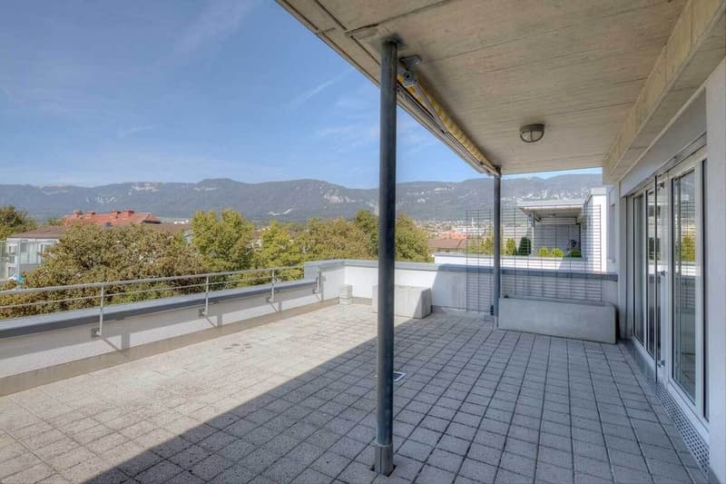 Traumhafte Attikawohnung mit grosser Terrasse (10)