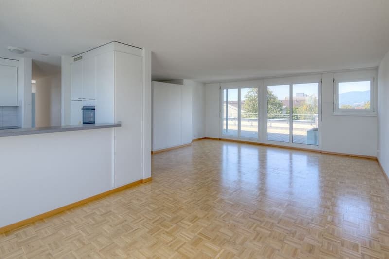 Traumhafte Attikawohnung mit grosser Terrasse (6)