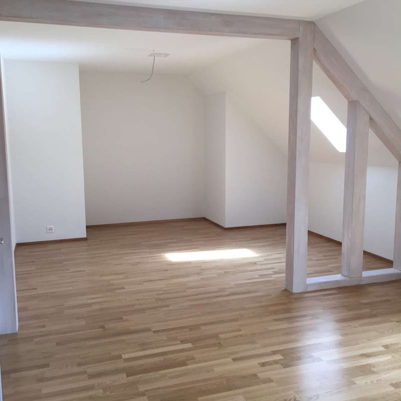Wunderschöne Dachwohnung nähe Eigerplatz (4)