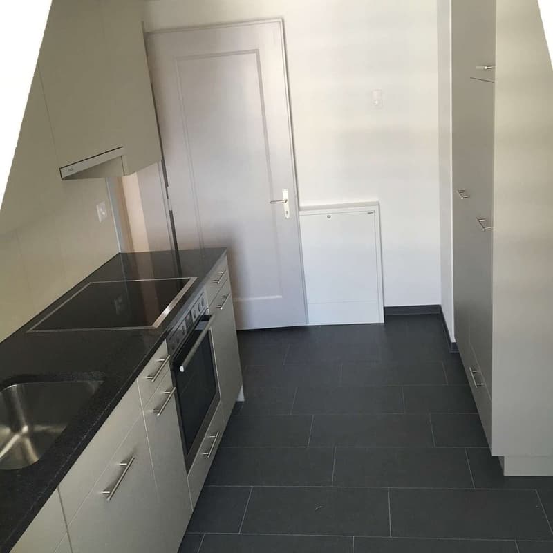 Wunderschöne Dachwohnung nähe Eigerplatz (2)