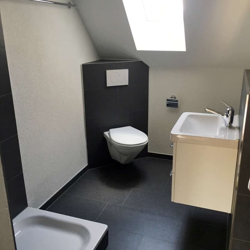 Wunderschöne Dachwohnung nähe Eigerplatz (3)