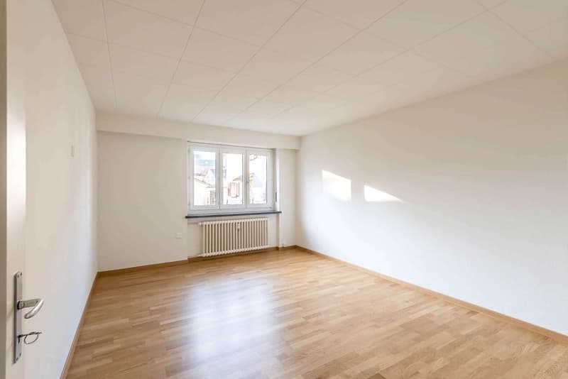 Ruhige Wohnung an zentraler Lage (4)