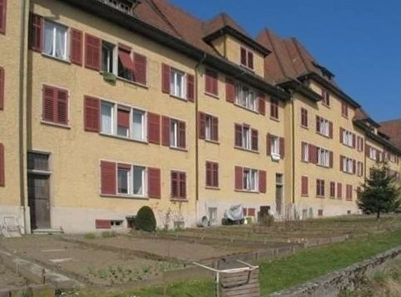Gemütliche 3 Zimmerwohnung im Arbeiterschlössli (1)