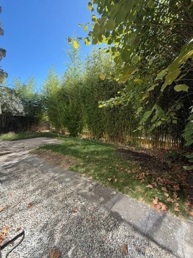 jardin.jpg