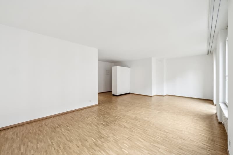 Moderne 2.5 - Zimmerwohnung zentral in Basel Stadt (3)