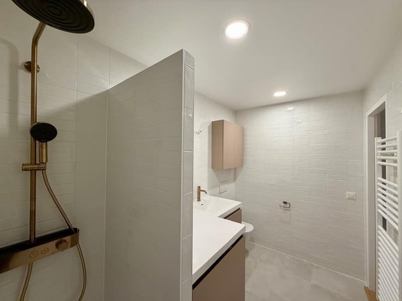 Salle_de_douche_2.jpeg