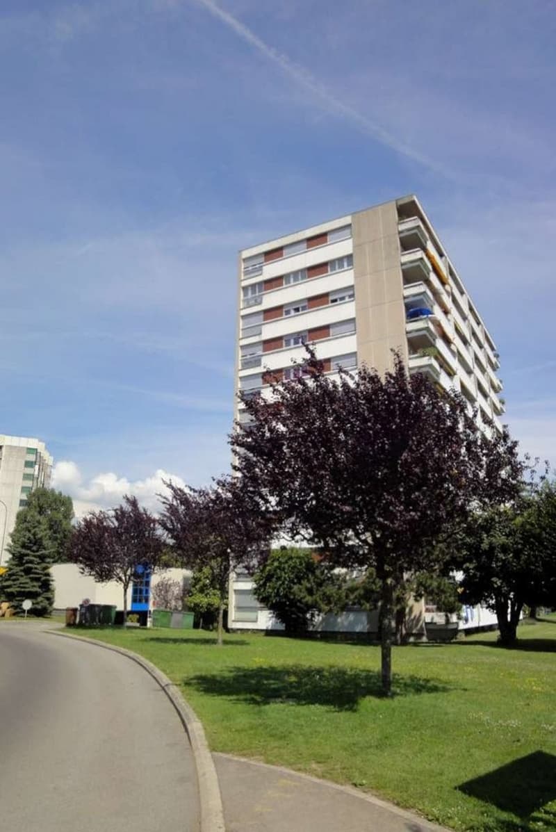 Proche de toutes les commodités EPFL/UNIL - Quartier tranquille (2)